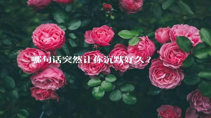 哪句话突然让你沉默好久?